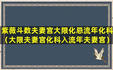 紫薇斗数夫妻宫大限化忌流年化科（大限夫妻宫化科入流年夫妻宫）