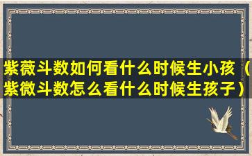 紫薇斗数如何看什么时候生小孩（紫微斗数怎么看什么时候生孩子）