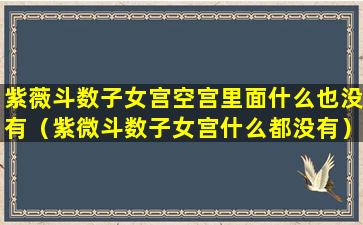 紫薇斗数子女宫空宫里面什么也没有（紫微斗数子女宫什么都没有）