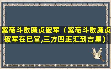 紫薇斗数廉贞破军（紫薇斗数廉贞破军在巳宫,三方四正汇到吉星）