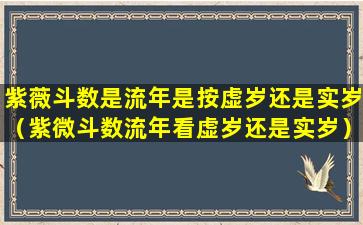 紫薇斗数是流年是按虚岁还是实岁（紫微斗数流年看虚岁还是实岁）