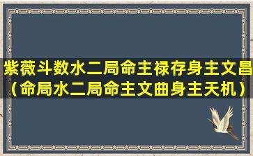 紫薇斗数水二局命主禄存身主文昌（命局水二局命主文曲身主天机）