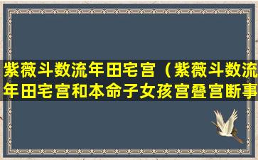 紫薇斗数流年田宅宫（紫薇斗数流年田宅宫和本命子女孩宫叠宫断事了）