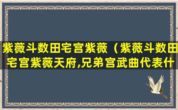 紫薇斗数田宅宫紫薇（紫薇斗数田宅宫紫薇天府,兄弟宫武曲代表什么）