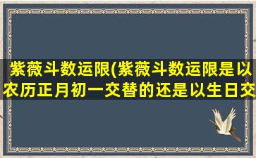 紫薇斗数运限(紫薇斗数运限是以农历正月初一交替的还是以生日交替的)