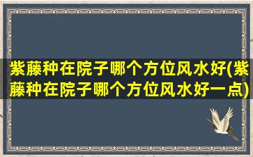 紫藤种在院子哪个方位风水好(紫藤种在院子哪个方位风水好一点)