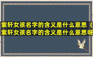 紫轩女孩名字的含义是什么意思（紫轩女孩名字的含义是什么意思呀）