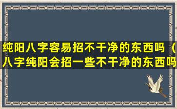 纯阳八字容易招不干净的东西吗（八字纯阳会招一些不干净的东西吗）