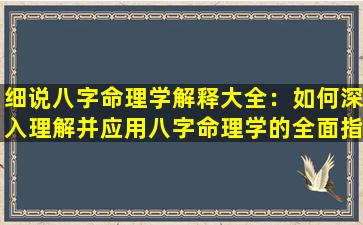 细说八字命理学解释大全：如何深入理解并应用八字命理学的全面指南