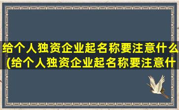 给个人独资企业起名称要注意什么(给个人独资企业起名称要注意什么事项)