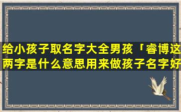 给小孩子取名字大全男孩「睿博这两字是什么意思用来做孩子名字好吗」