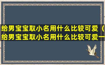 给男宝宝取小名用什么比较可爱（给男宝宝取小名用什么比较可爱一点）