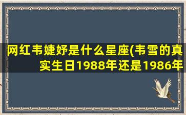 网红韦婕妤是什么星座(韦雪的真实生日1988年还是1986年)