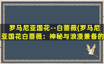 罗马尼亚国花--白蔷薇(罗马尼亚国花白蔷薇：神秘与浪漫兼备的传说)