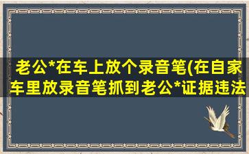 老公*在车上放个录音笔(在自家车里放录音笔抓到老公*证据违法吗)