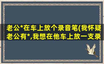 老公*在车上放个录音笔(我怀疑老公有*,我想在他车上放一支录音笔)