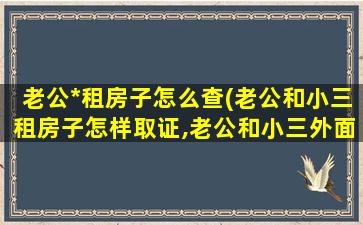 老公*租房子怎么查(老公和小三租房子怎样取证,老公和小三外面租房子怎么办)