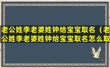 老公姓李老婆姓钟给宝宝取名（老公姓李老婆姓钟给宝宝取名怎么取）