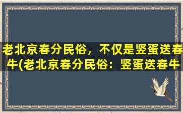 老北京春分民俗，不仅是竖蛋送春牛(老北京春分民俗：竖蛋送春牛、论春风十里花十里，小煮圆子咀嚼春天的味道)