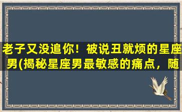 老子又没追你！被说丑就烦的星座男(揭秘星座男最敏感的痛点，随便一句话就能让他们心碎)