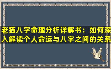 老猫八字命理分析详解书：如何深入解读个人命运与八字之间的关系