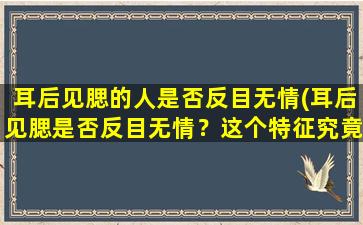 耳后见腮的人是否反目无情(耳后见腮是否反目无情？这个特征究竟意味着什么？)