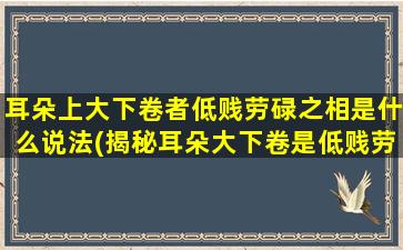 耳朵上大下卷者低贱劳碌之相是什么说法(揭秘耳朵大下卷是低贱劳碌之相的*)