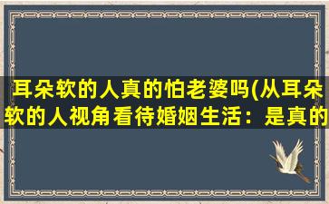 耳朵软的人真的怕老婆吗(从耳朵软的人视角看待婚姻生活：是真的怕对方还是怕失去？)