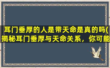 耳门垂厚的人是带天命是真的吗(揭秘耳门垂厚与天命关系，你可能想知道的*！)