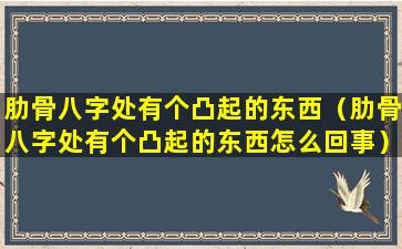 肋骨八字处有个凸起的东西（肋骨八字处有个凸起的东西怎么回事）