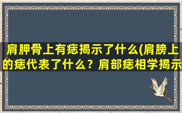 肩胛骨上有痣揭示了什么(肩膀上的痣代表了什么？肩部痣相学揭示痣相学：肩膀部位痣点解析肩部痣点揭示命运揭秘肩膀上痣相学)