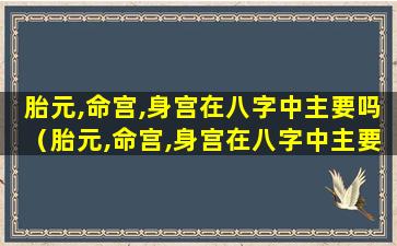 胎元,命宫,身宫在八字中主要吗（胎元,命宫,身宫在八字中主要吗）