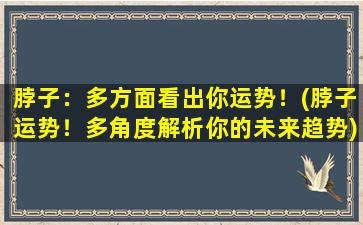 脖子：多方面看出你运势！(脖子运势！多角度解析你的未来趋势)