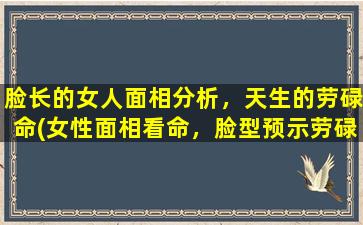 脸长的女人面相分析，天生的劳碌命(女性面相看命，脸型预示劳碌命，这些特征说明她注定要拼搏！)