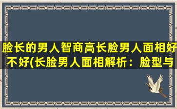 脸长的男人智商高长脸男人面相好不好(长脸男人面相解析：脸型与智商的关系究竟如何？)