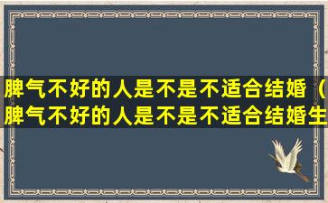 脾气不好的人是不是不适合结婚（脾气不好的人是不是不适合结婚生孩子）