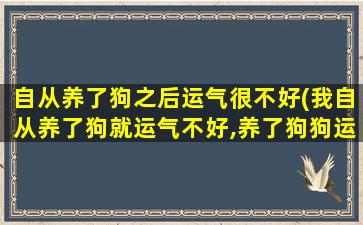 自从养了狗之后运气很不好(我自从养了狗就运气不好,养了狗狗运气越来越差)