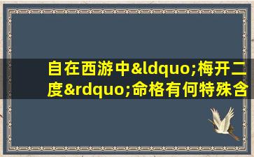 自在西游中“梅开二度”命格有何特殊含义与作用