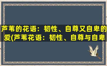 芦苇的花语：韧性、自尊又自卑的爱(芦苇花语：韧性、自尊与自卑的爱，如何舒缓情绪？)