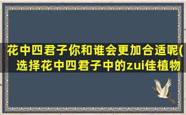 花中四君子你和谁会更加合适呢(选择花中四君子中的zui佳植物伴侣，你和哪一位更契合？)