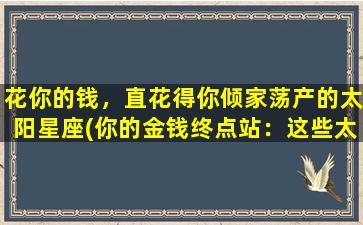 花你的钱，直花得你倾家荡产的太阳星座(你的金钱终点站：这些太阳星座最能花你的钱)