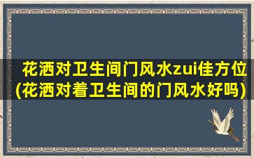 花洒对卫生间门风水zui佳方位(花洒对着卫生间的门风水好吗)