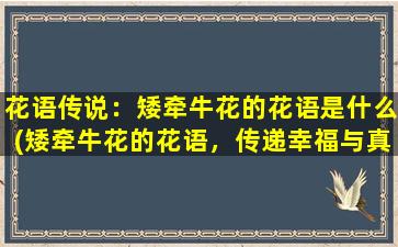 花语传说：矮牵牛花的花语是什么(矮牵牛花的花语，传递幸福与真爱的象征)