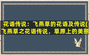 花语传说：飞燕草的花语及传说(飞燕草之花语传说，草原上的美丽传奇)