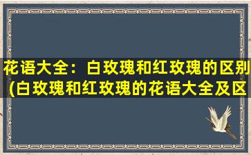 花语大全：白玫瑰和红玫瑰的区别(白玫瑰和红玫瑰的花语大全及区别)