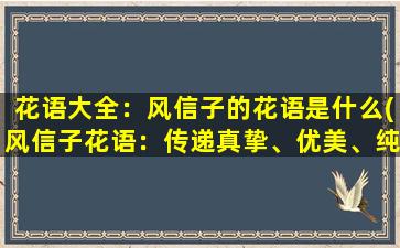 花语大全：风信子的花语是什么(风信子花语：传递真挚、优美、纯洁和坚毅)