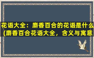 花语大全：麝香百合的花语是什么(麝香百合花语大全，含义与寓意简介)