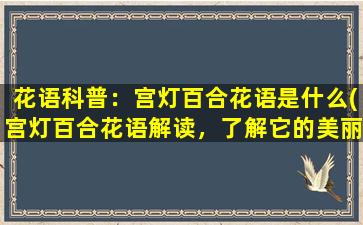 花语科普：宫灯百合花语是什么(宫灯百合花语解读，了解它的美丽与涵义)