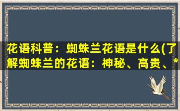 花语科普：蜘蛛兰花语是什么(了解蜘蛛兰的花语：神秘、高贵、*奔放)