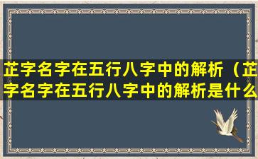 芷字名字在五行八字中的解析（芷字名字在五行八字中的解析是什么）